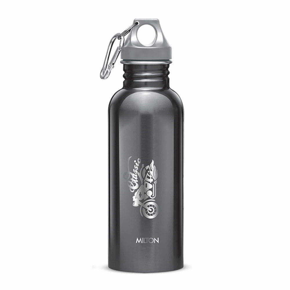 Alive Stainless Steel Bottle (Milton)