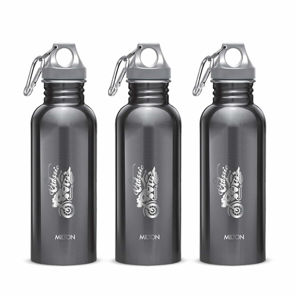 Alive Stainless Steel Bottle (Milton)