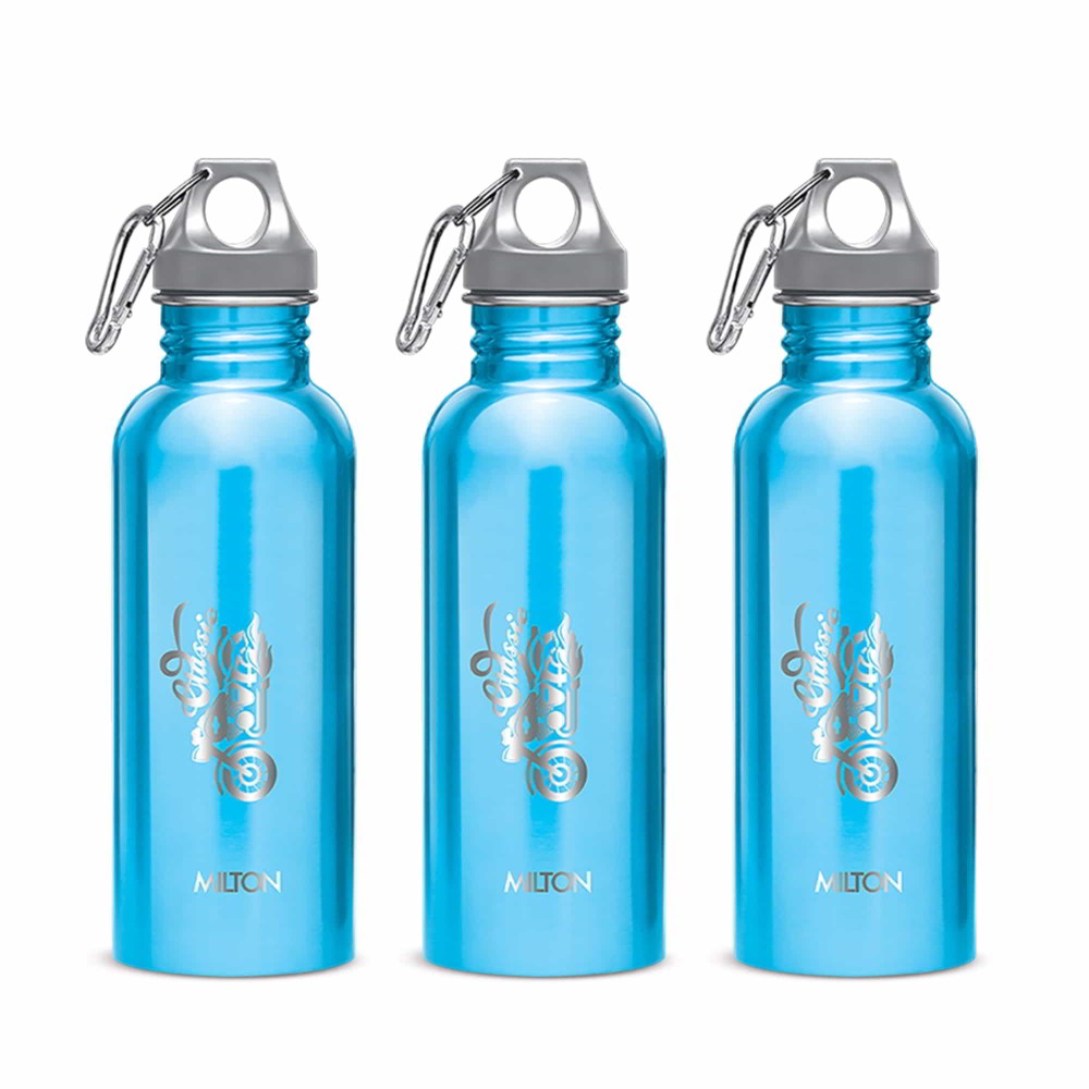 Alive Stainless Steel Bottle (Milton)