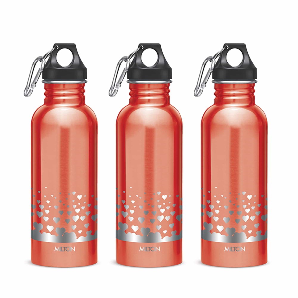 Alive Stainless Steel Bottle (Milton)