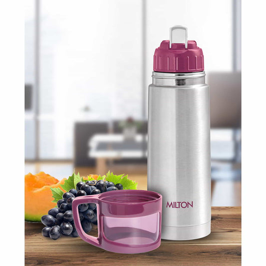 Glassy Thermosteel Flask (Milton)