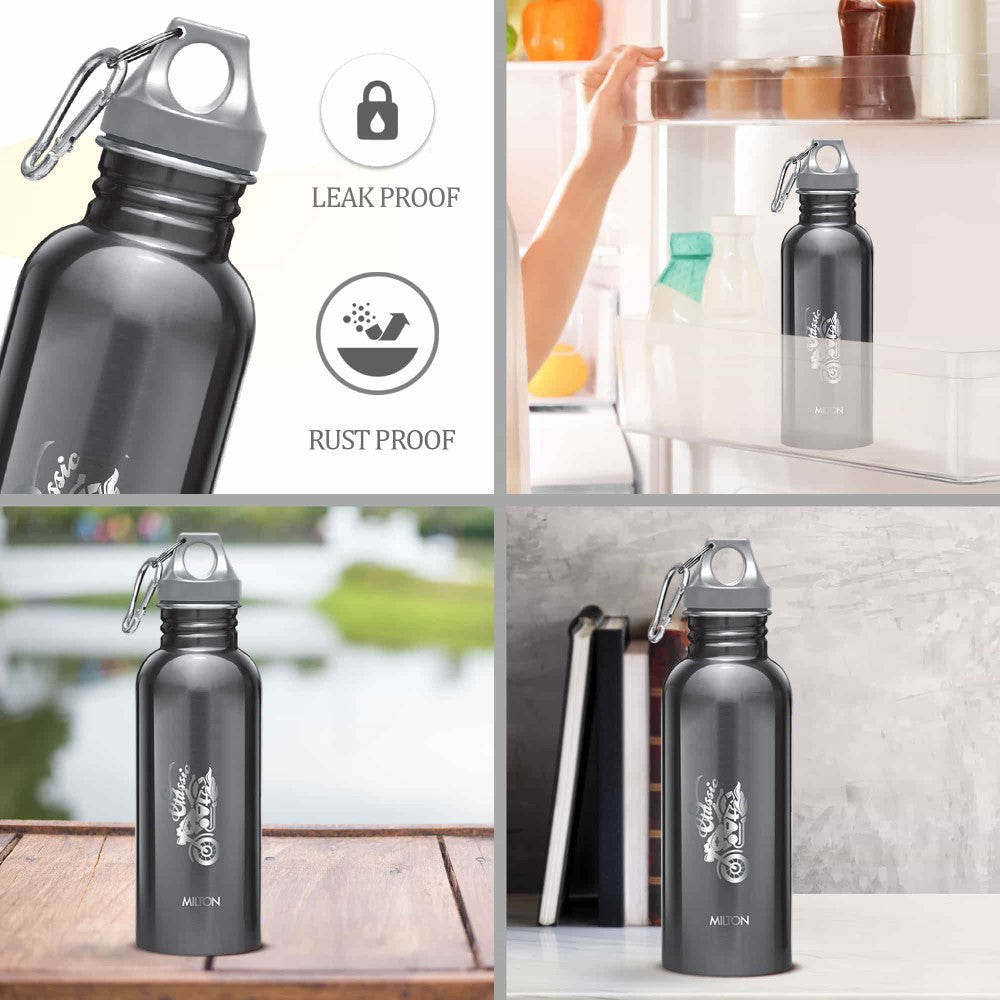 Alive Stainless Steel Bottle (Milton)