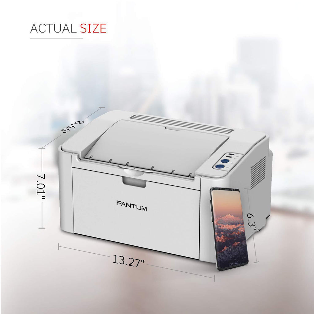 Pantum P2200 Laserjet Printer (Grey)