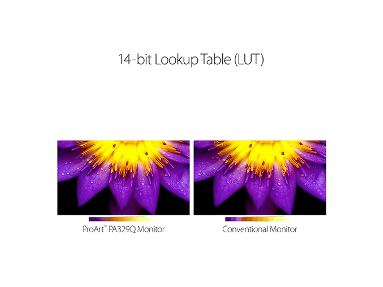 ASUS PA329Q "32-inch" 4K/UHD 3840x2160 IPS (AHVA) Eye Care ProArt Monitor