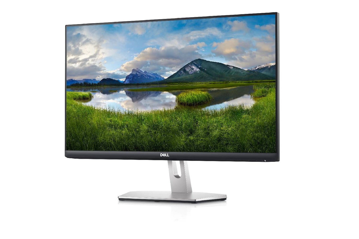 Dell 24 inch IPS SN2421HN Monitor