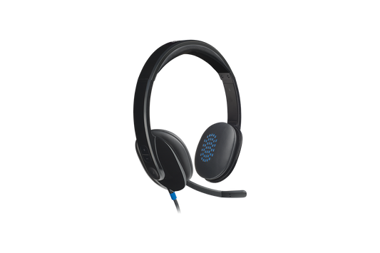 Logitech H540 USB Computer Headset