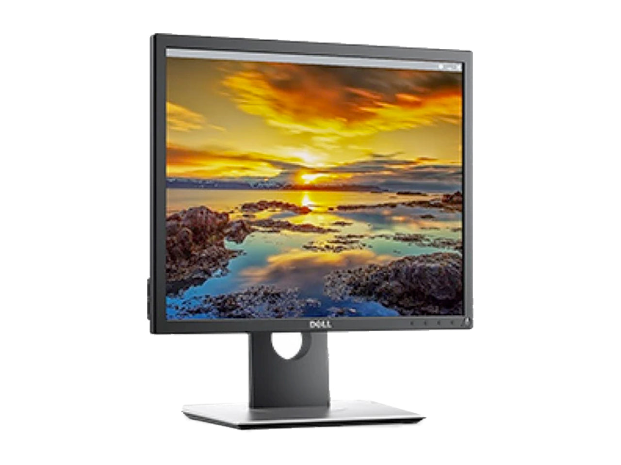 Dell P1917S Professional 19" Square Monitor