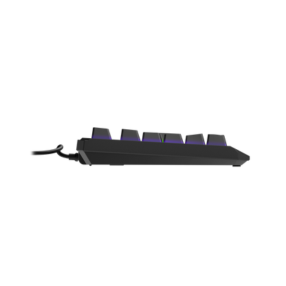 Hama Exodus 220 TKL Gaming Keyboard | Compact RGB | RGB Gaming Accessory | Compatible with PC, Laptop & Gaming Setup