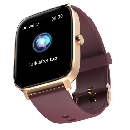 Noise fitbit pro 2 hotsell