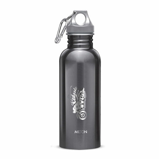 Alive Stainless Steel Bottle (Milton)