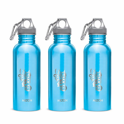 Alive Stainless Steel Bottle (Milton)
