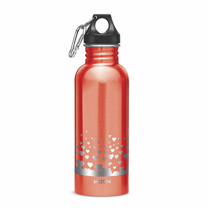 Alive Stainless Steel Bottle (Milton)
