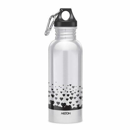 Alive Stainless Steel Bottle (Milton)