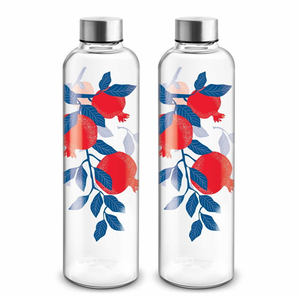 Dziner Clarion Boro Bottle (Treo by Milton)