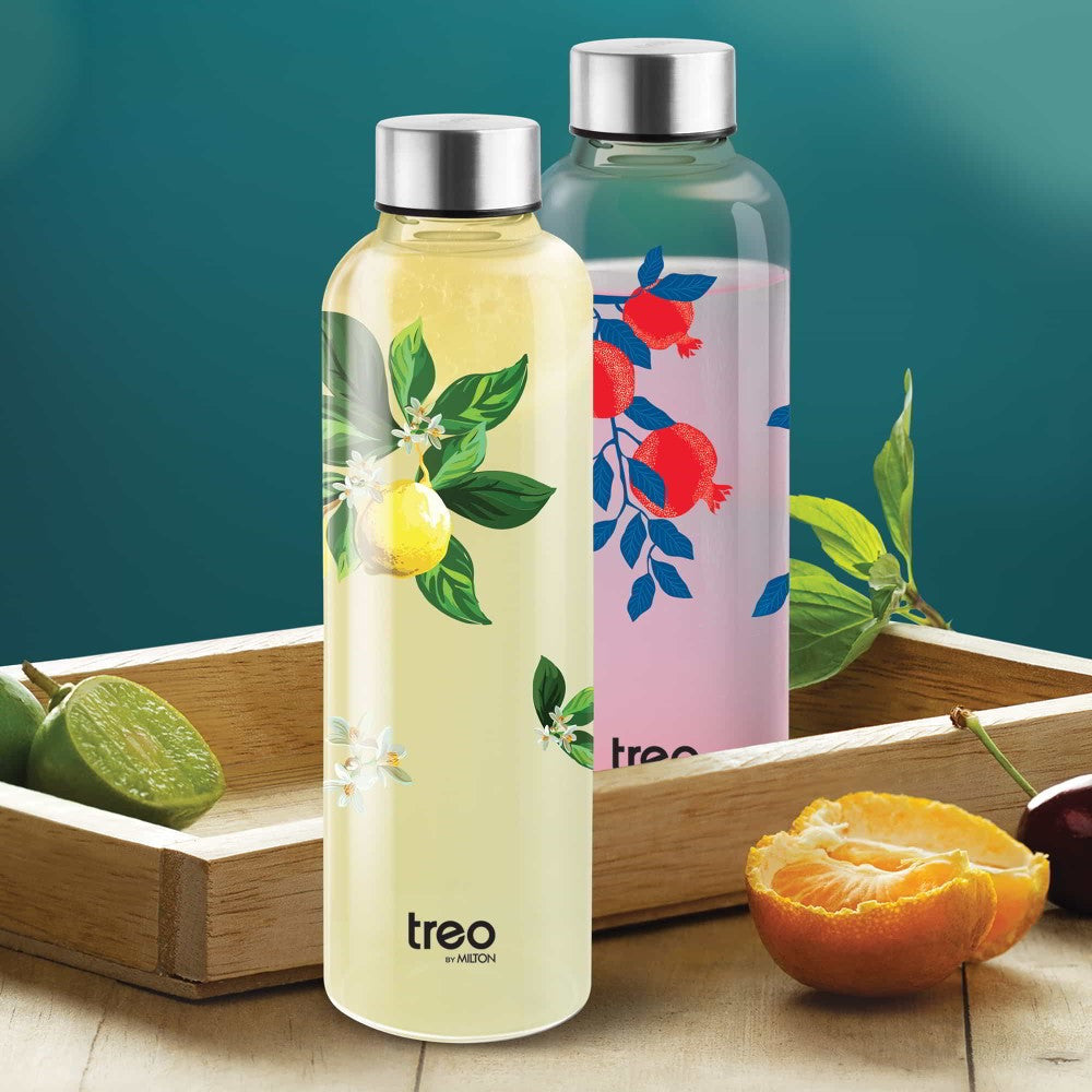 Dziner Clarion Boro Bottle (Treo by Milton)