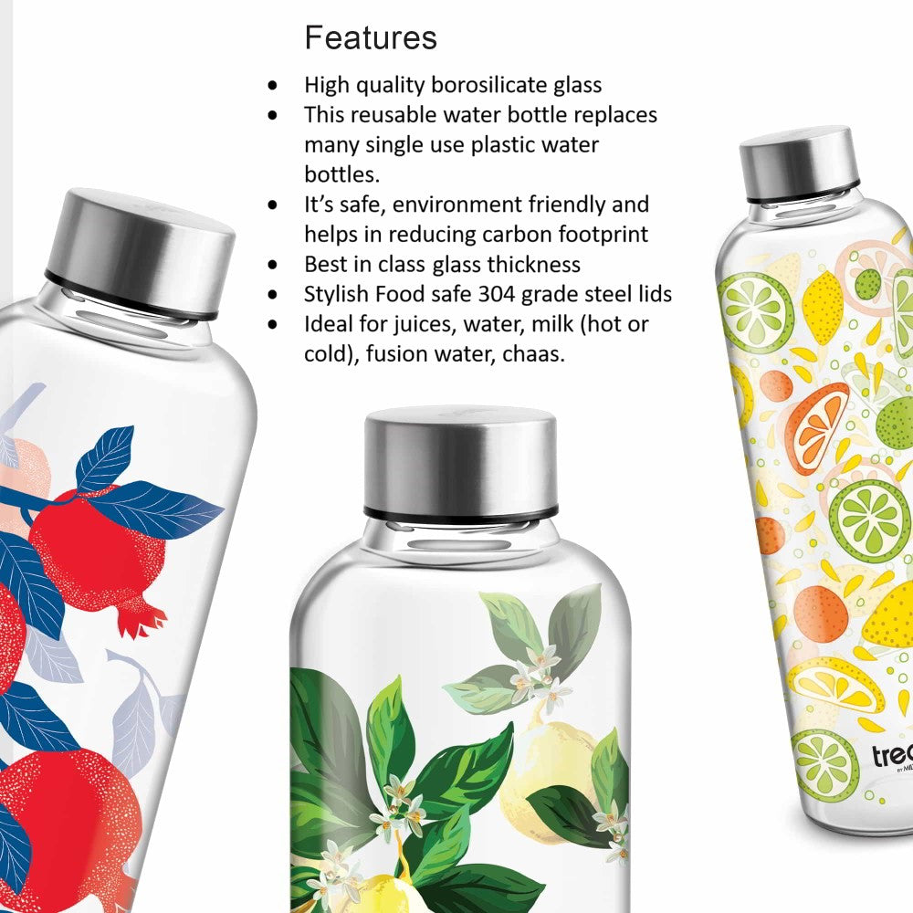 Dziner Clarion Boro Bottle (Treo by Milton)