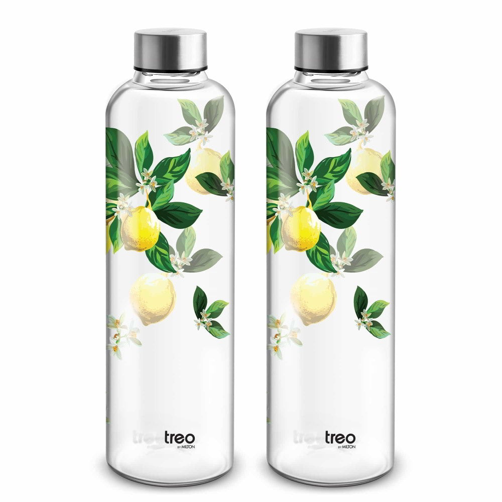 Dziner Clarion Boro Bottle (Treo by Milton)