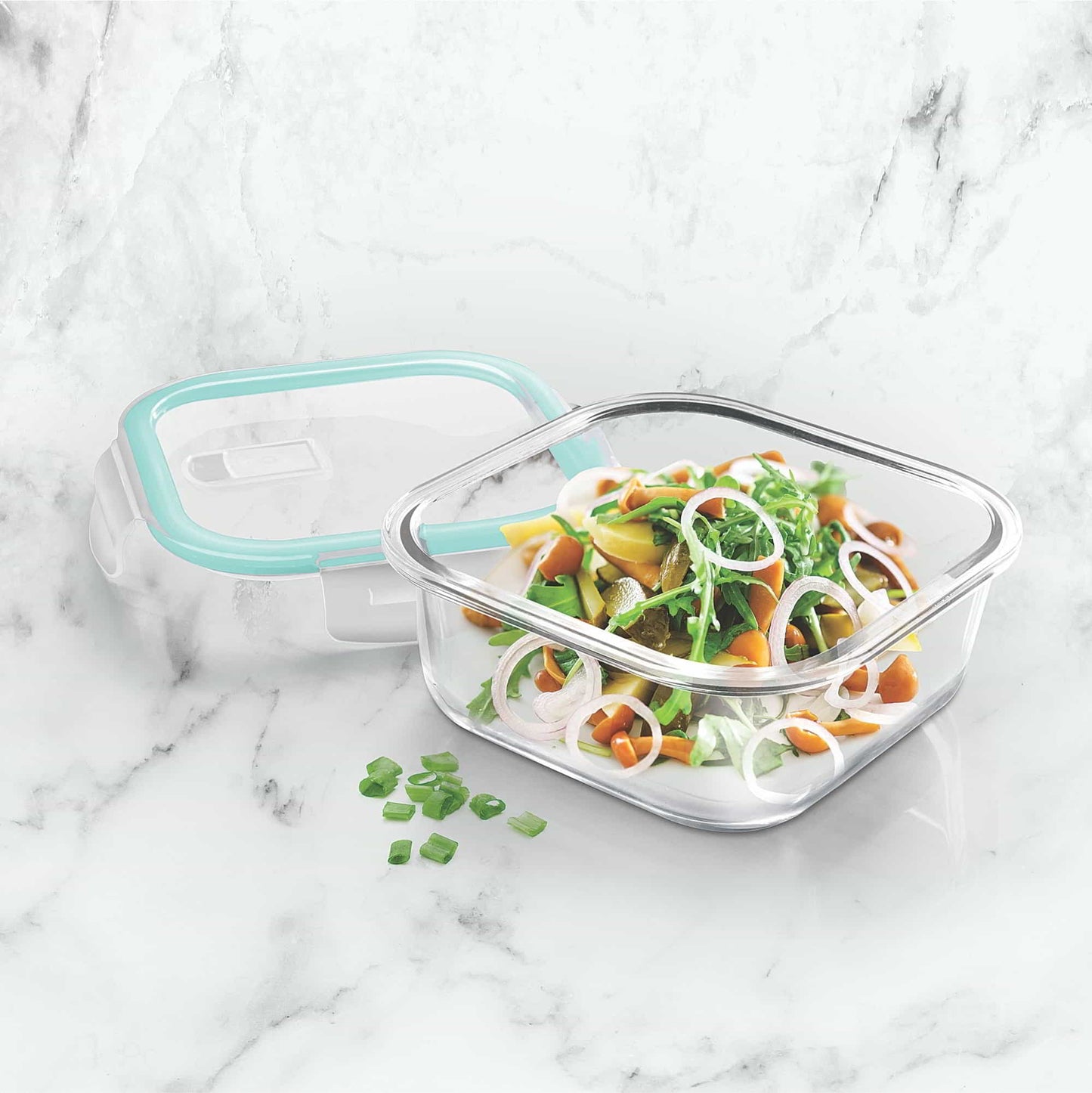 Hi Borosilicate Clip Fresh Square Container (Treo by Milton)