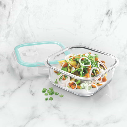 Hi Borosilicate Clip Fresh Square Container (Treo by Milton)