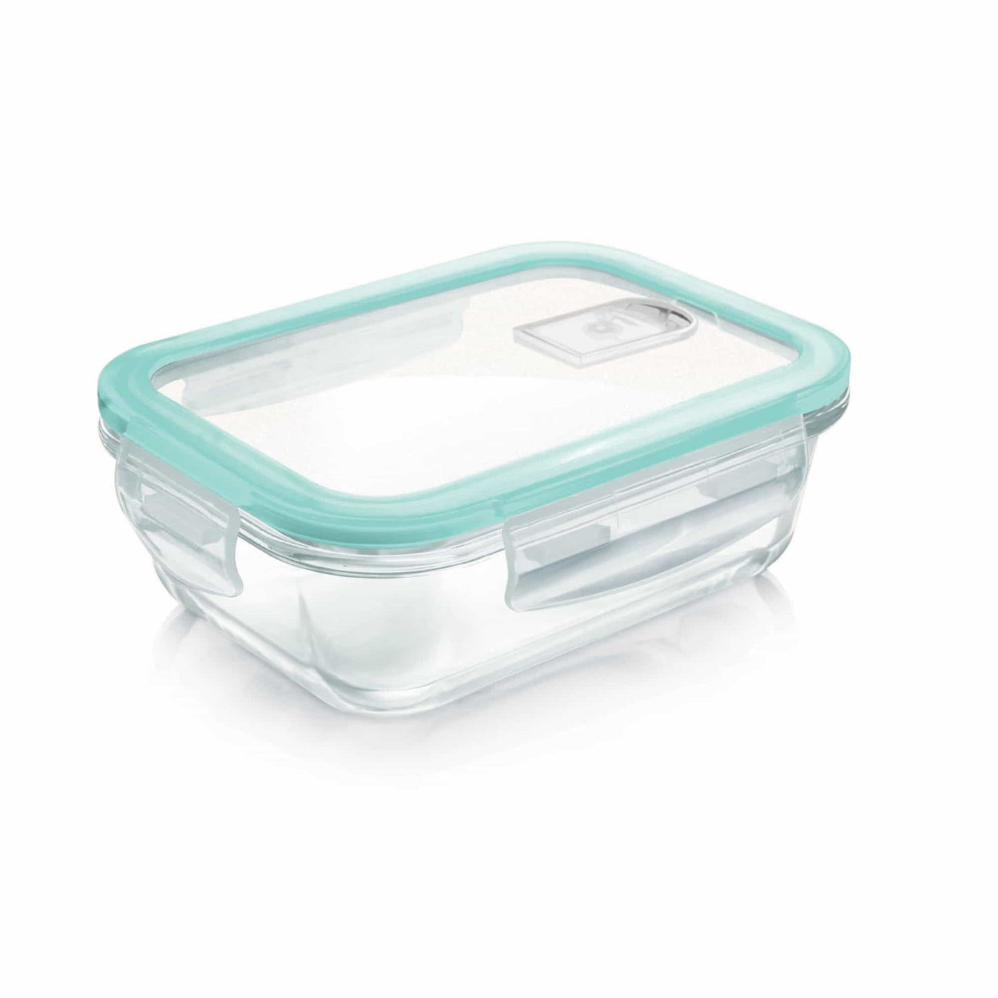 Clip Fresh Rectangular Container (Treo by Milton)