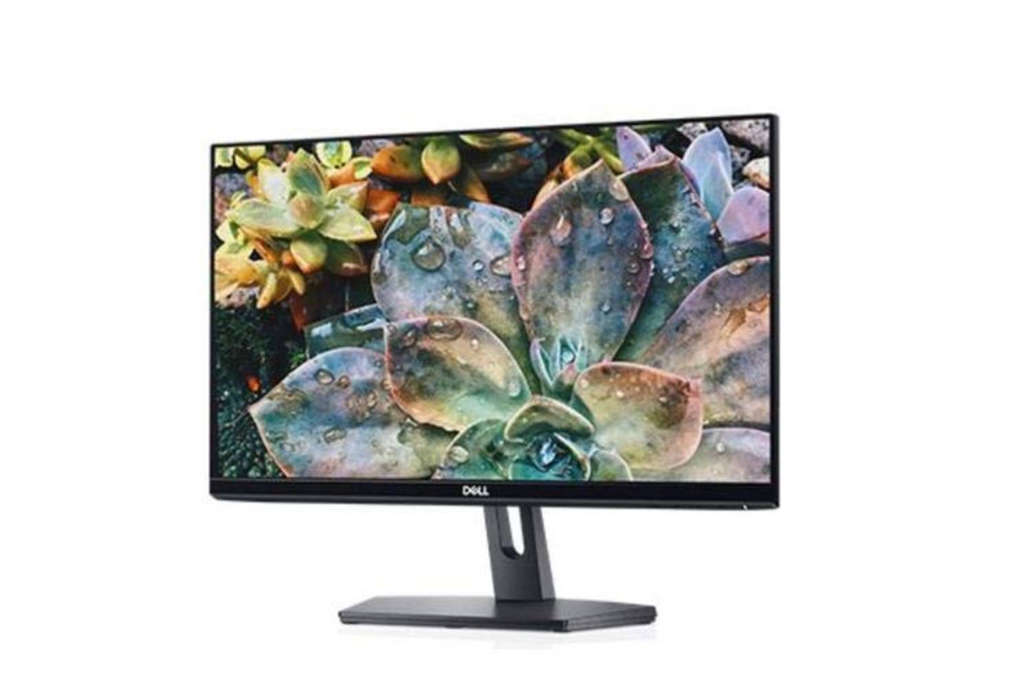 DELL 21.5 inch SE2219HX Ultra Thin Bezel LED Backlit Computer Monitor (Black)