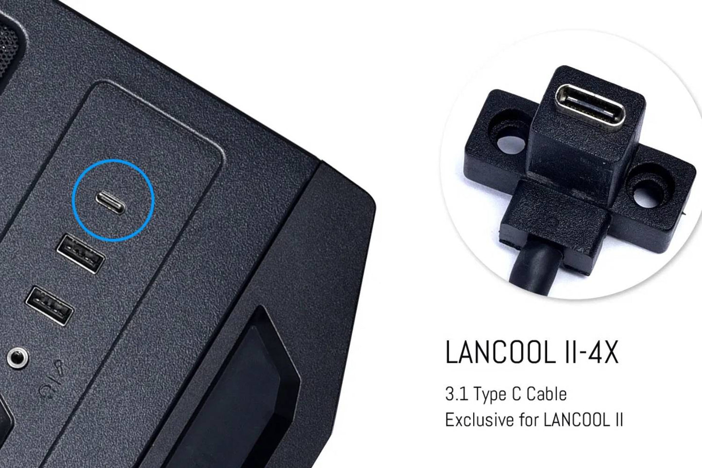 Lian Li G89.LAN2-4X.IN USB 3.1 Type C Cable