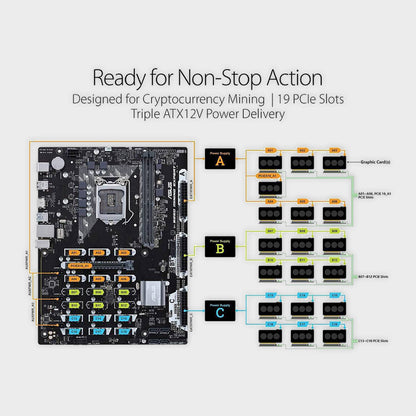 Asus B250 Mining Expert Intel LGA-1151 ATX Motherboard