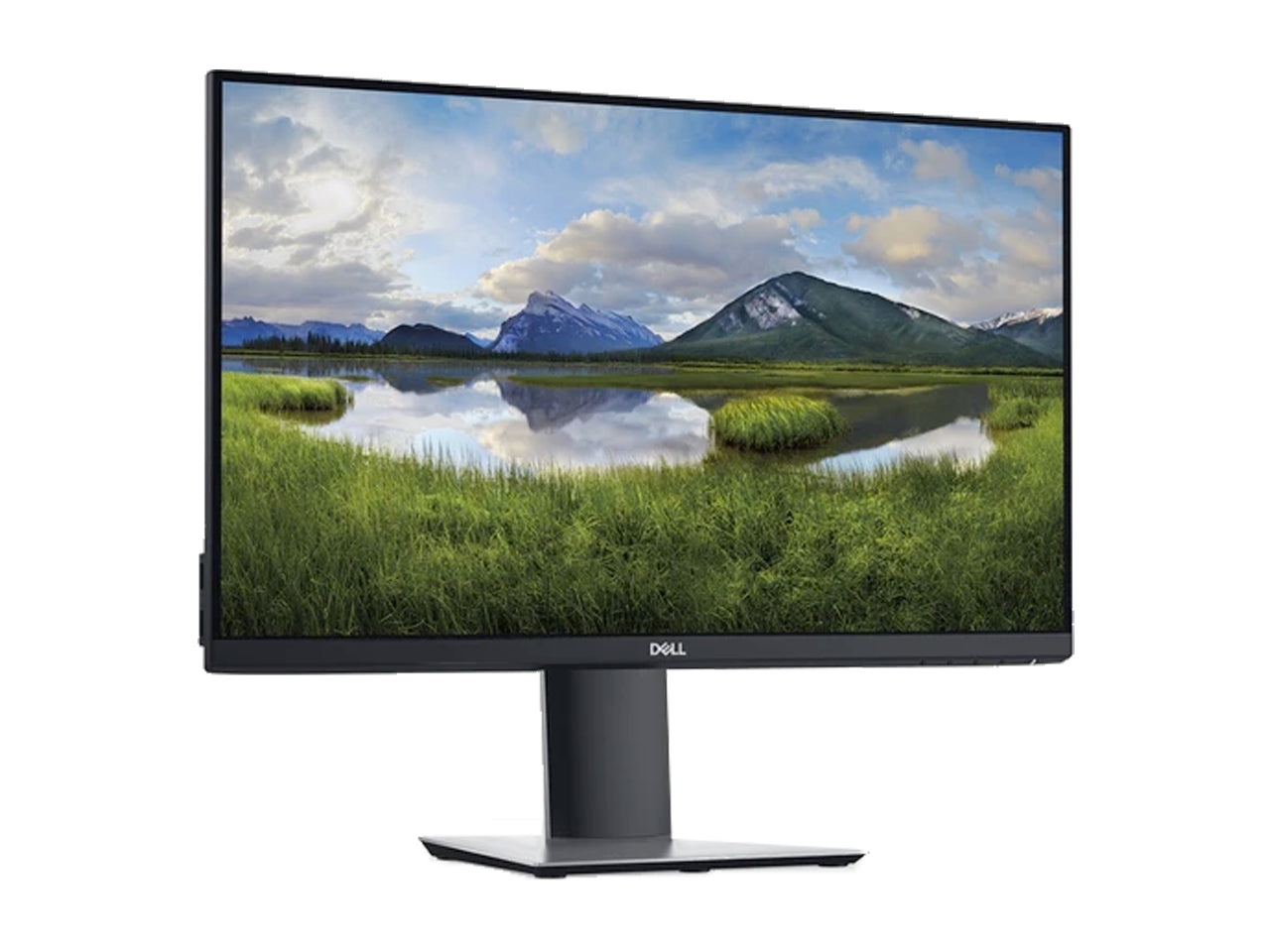 Dell P2419H P Series 24" Screen LED-Lit Monitor